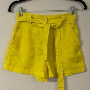 Aritzia Wilfred Free belted high waisted shorts